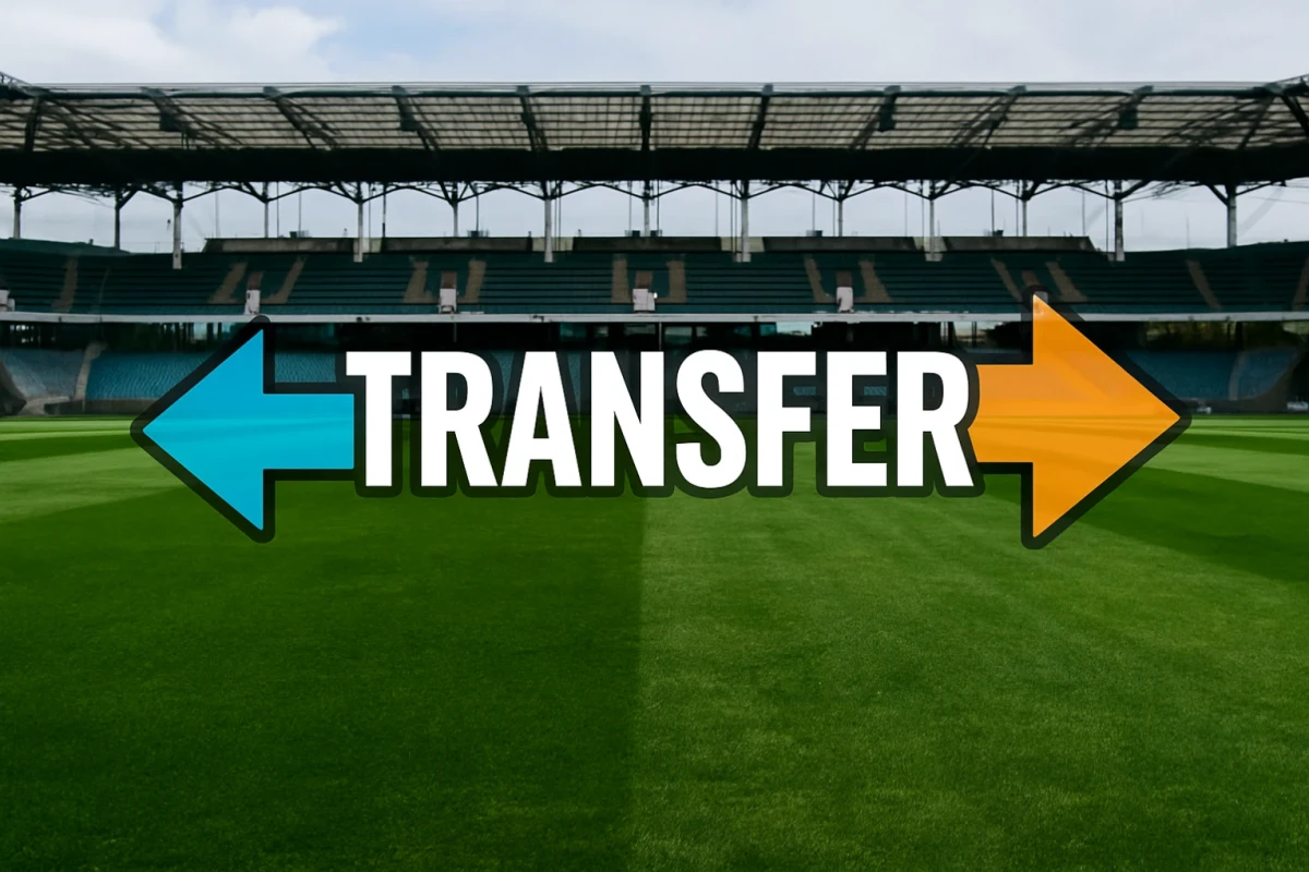 sa-transfery-ogolny-obrazek-4.webp